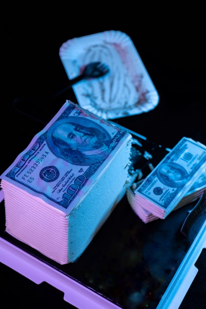 The Future of National Debt